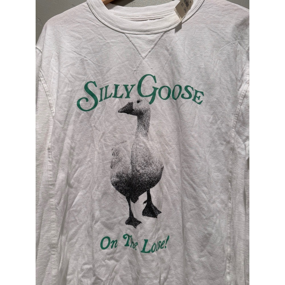 Aerie White Long Sleeve Silly Goose on the Loose T-Shirt Size Small - Picture 3 of 7